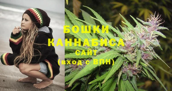 спиды Инсар