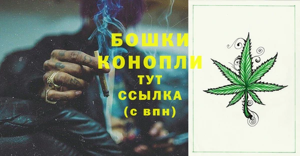 спиды Инсар